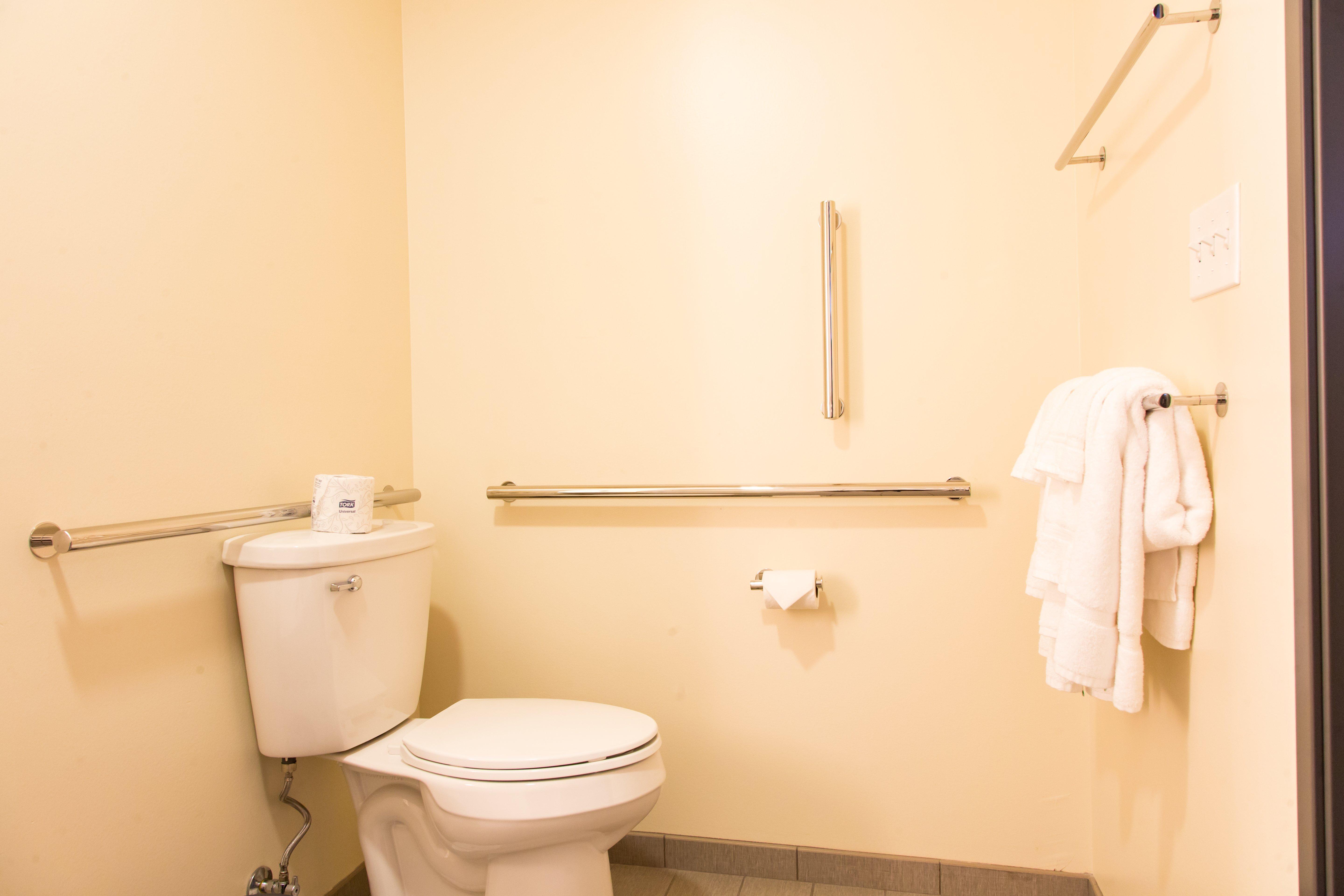 Holiday Inn Hotel & Suites - Mount Pleasant By Ihg Ngoại thất bức ảnh